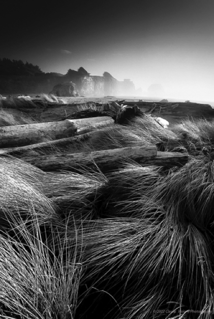 Oregon Coast B&W..jpg